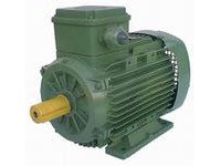 High Efficiency Electric Motors